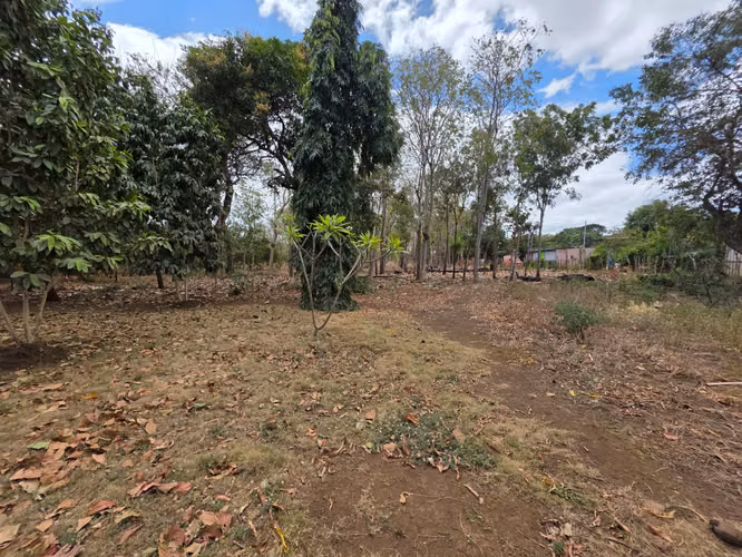 FH | Terreno en Venta | Sabana Grande - Imagen 9
