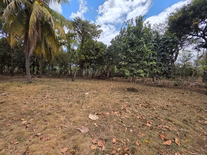 FH | Terreno en Venta | Sabana Grande - Imagen 5