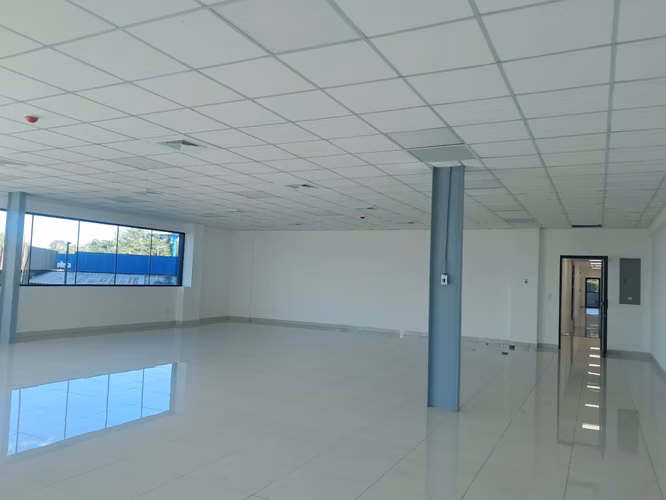 Se Rentan Oficinas de 80m2- 84m2- 117m2- 168m2- 325m2- 716m2.    CV