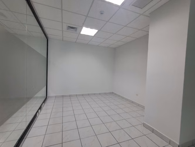 Se Rentan Oficinas de 80m2- 84m2- 117m2- 168m2- 325m2- 716m2.    CV