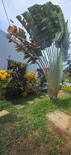 Venta de Casa en Las Colinas