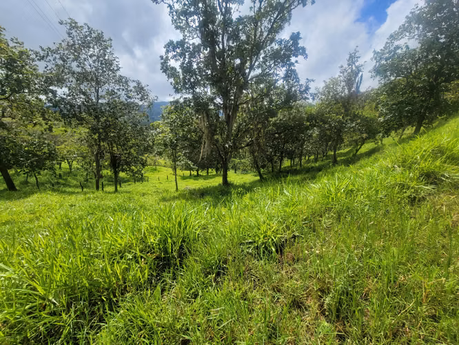Venta de Finca en Jinotega