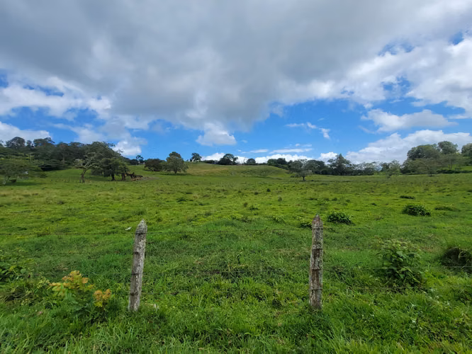 Venta de Finca en Jinotega