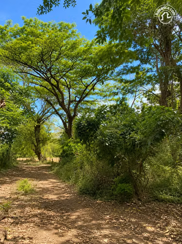 Venta de Finca Sobre La Carretera Leon- Poneloya