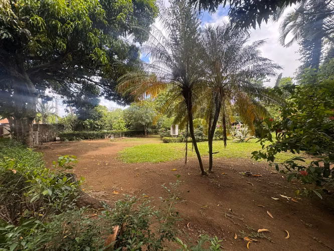 ¡Vive el lujo y la naturaleza a solo cinco minutos del Club Terraza!