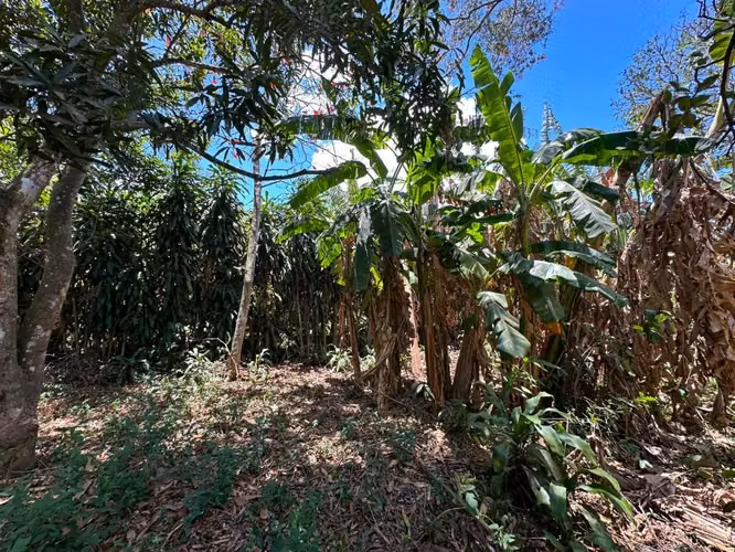 Venta de propiedad - Imagen 7
