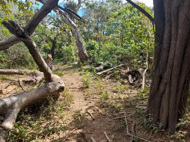 Venta de Finca en Leon