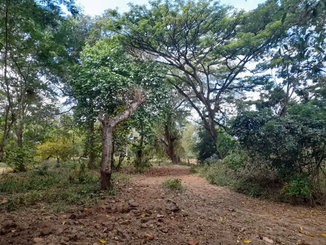 Venta de Finca en Leon