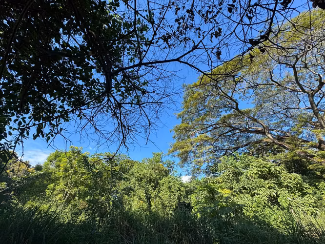 Venta de Terreno en Carretera Sur