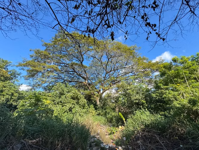 Venta de Terreno en Carretera Sur