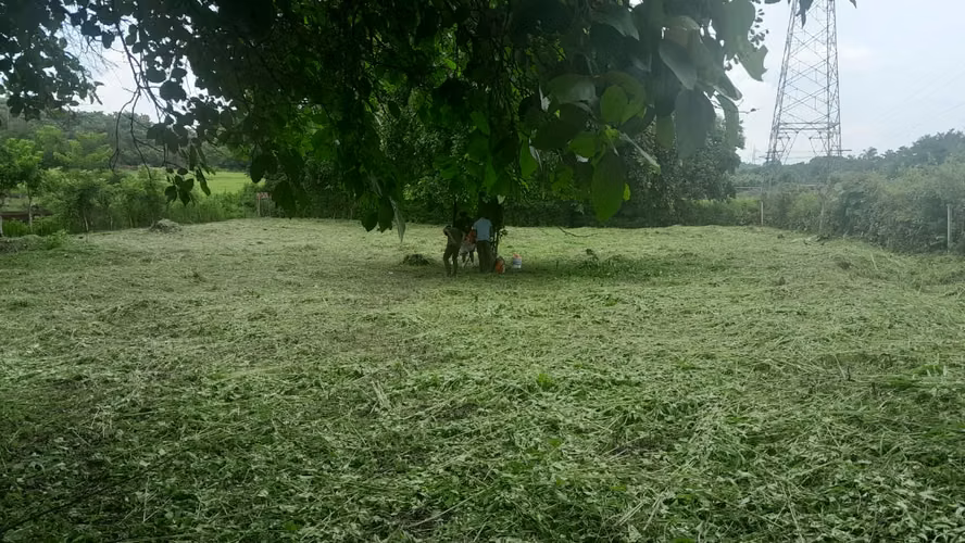 AJ-Selling land in Carretera Pacayit- Masaya