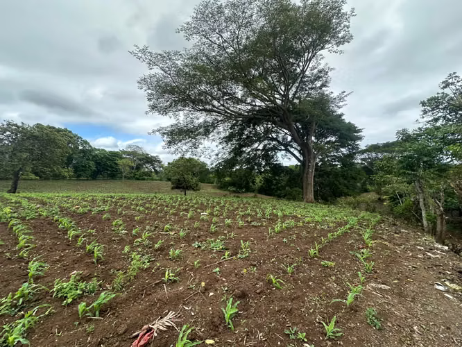 IM- Terreno de 2.25 manzanas en venta en Jinotepe