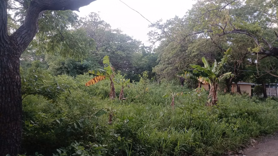 Venta de terrenos en Rivas km 108 carretera panamericana - Imagen 7