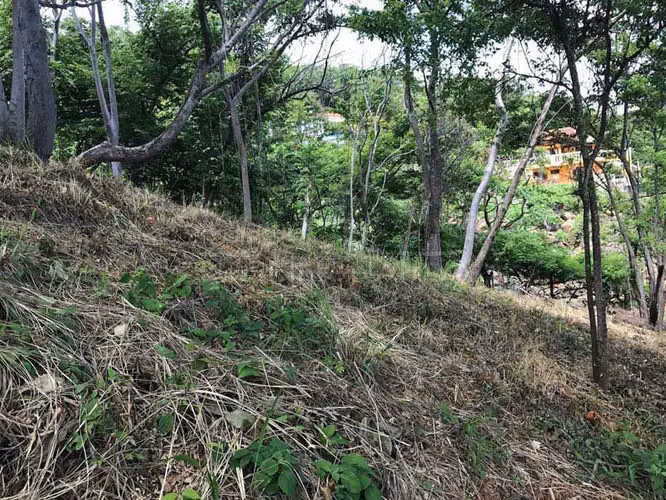 Propiedades de Playa en venta en San Juan, San Juan del Sur