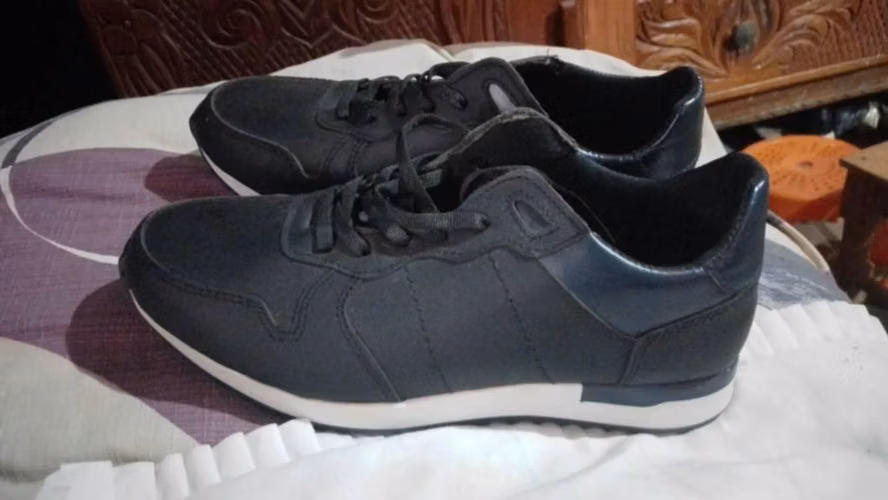 Tenis