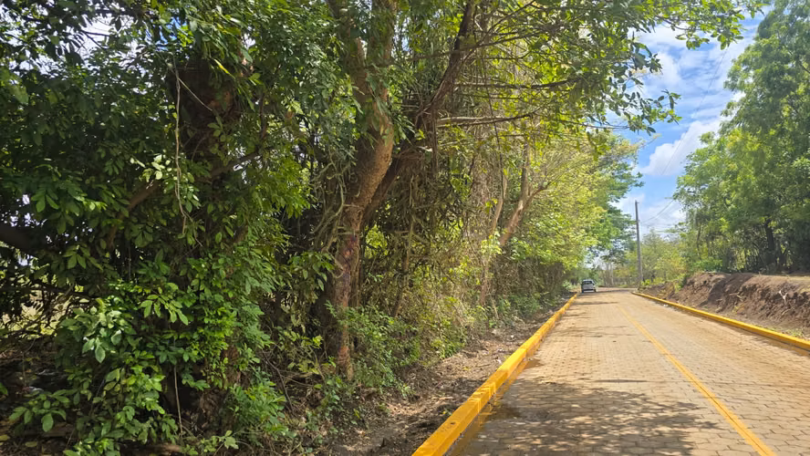 2 Manzanas en venta en Nindiri, a 1500 mts de la carretera