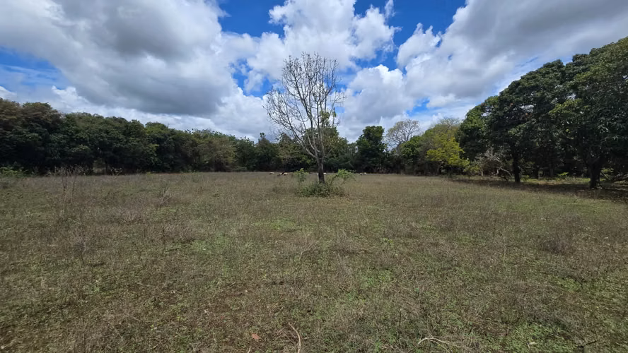 2 Manzanas en venta en Nindiri, a 1500 mts de la carretera