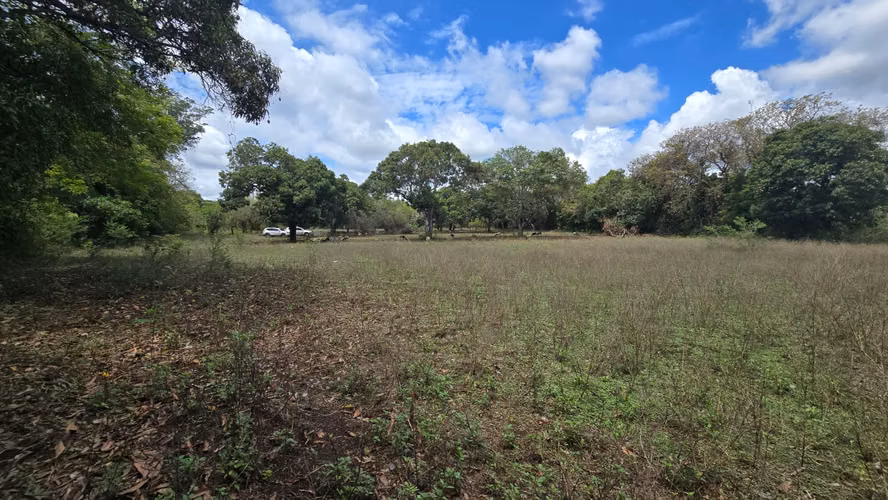 2 Manzanas en venta en Nindiri, a 1500 mts de la carretera