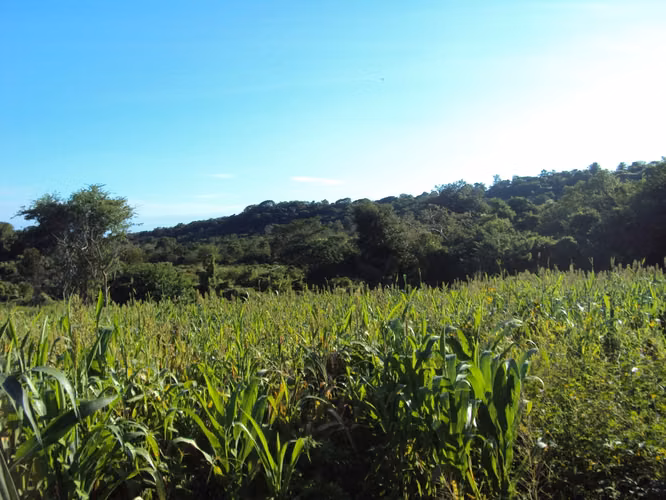 VENTA DE TERRENO DE 28MZS CERCA DE COSTARERA KM 65 DIRAMBA! LAM - Imagen 5