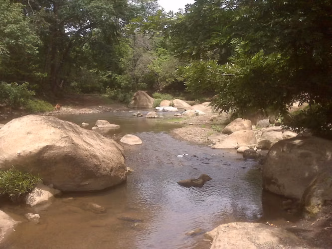 VENTA DE TERRENO DE 28MZS CERCA DE COSTARERA KM 65 DIRAMBA! LAM - Imagen 9