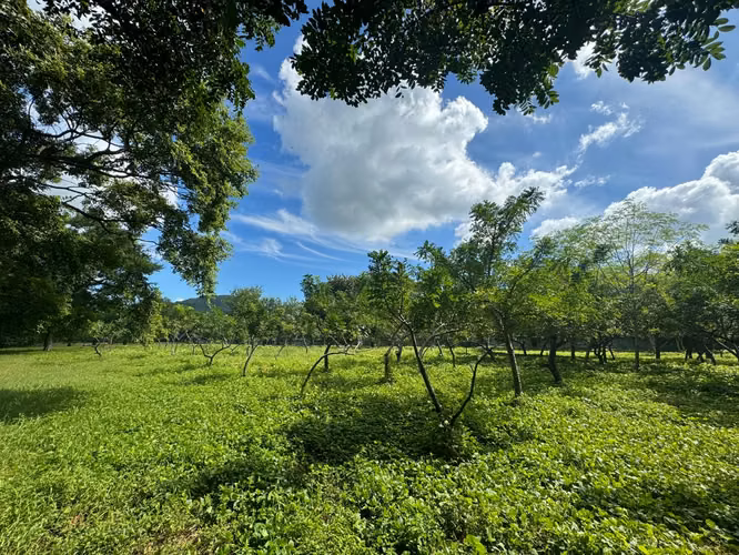 Venta de Terreno en Nejapa