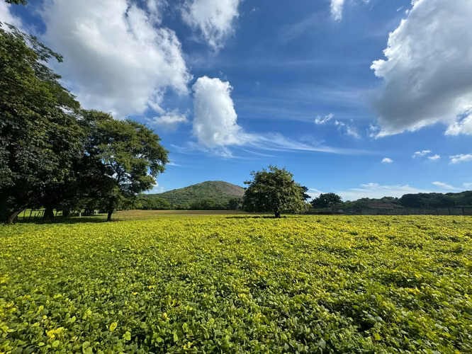 Venta de Terreno en Nejapa