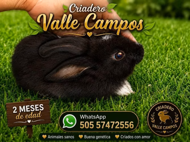 Necesitas un amigo q no te fallara ...