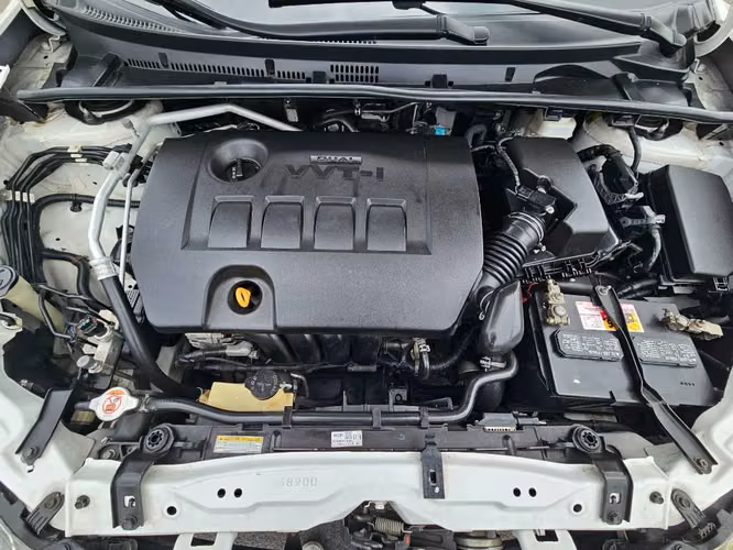 Toyota corolla 2019