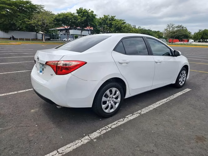 Toyota corolla 2019
