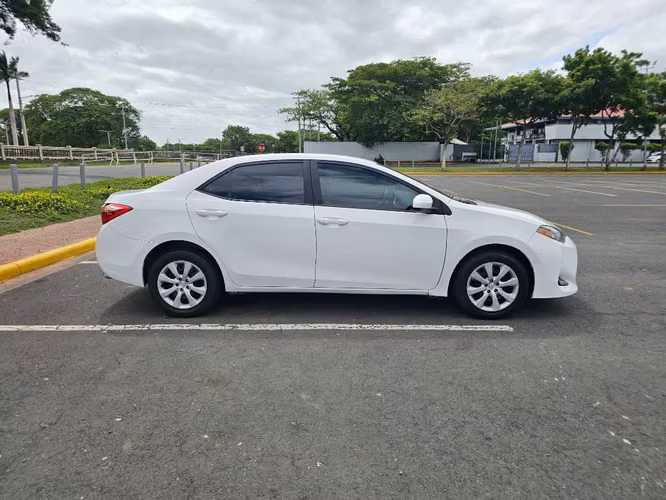 Toyota corolla 2019