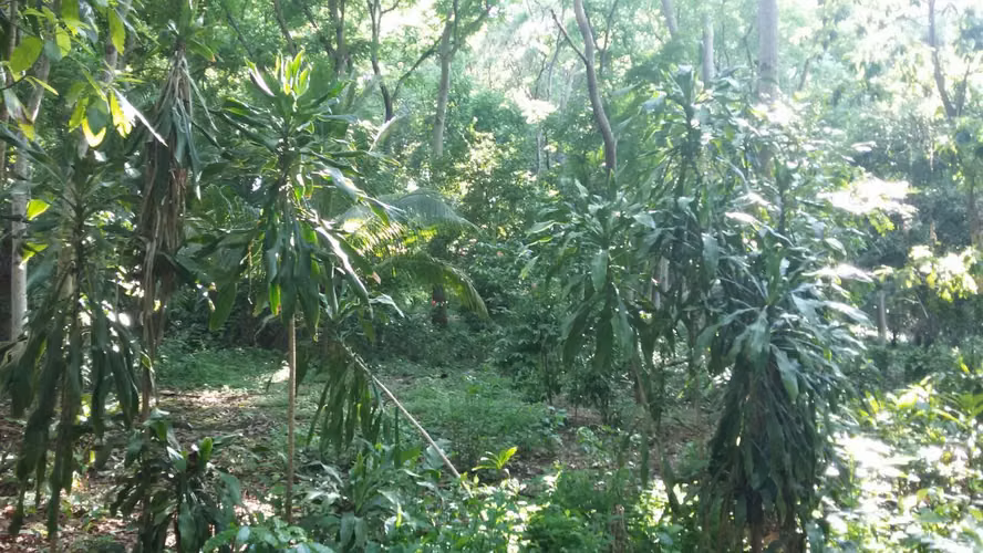 VENTA DE TERRENO EN CARRETERA SUR