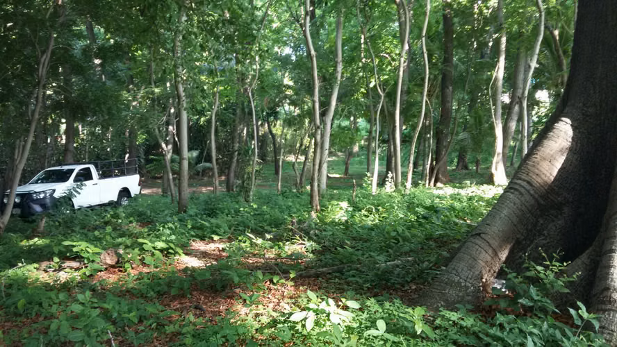 VENTA DE TERRENO EN CARRETERA SUR - Imagen 3