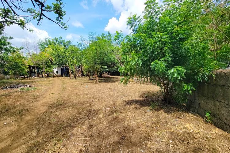 Se alquila terreno en la nueva pista la Reynaga