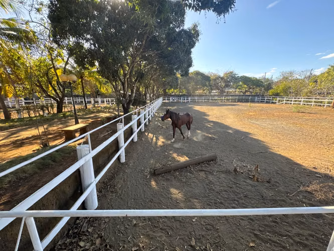 Equine and Agricultural Finca of 7.5 Apple with Infrastructure
