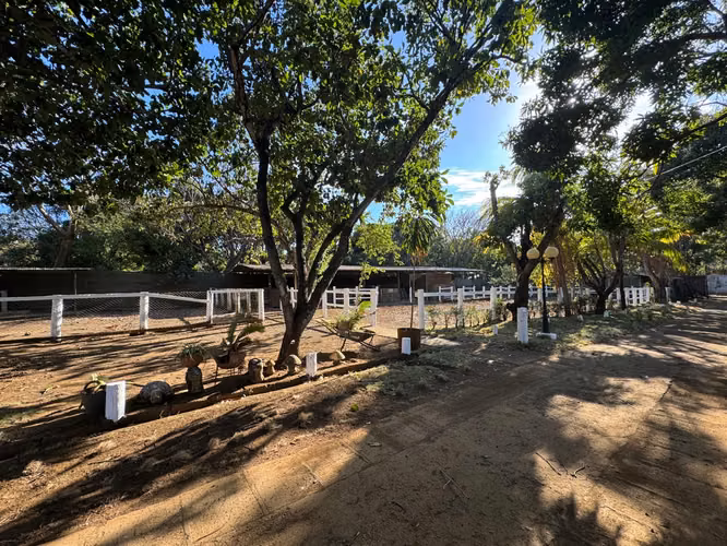 Finca Equina y Agrícola de 7.5 Manzanas con Infraestructura - Imagen 12