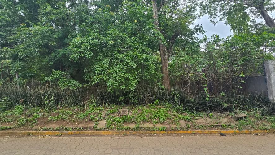 YA-Vendo terreno sobre calle adoquinada en Comarca Leonel Reynoza, Ticuantepe - Imagen 2