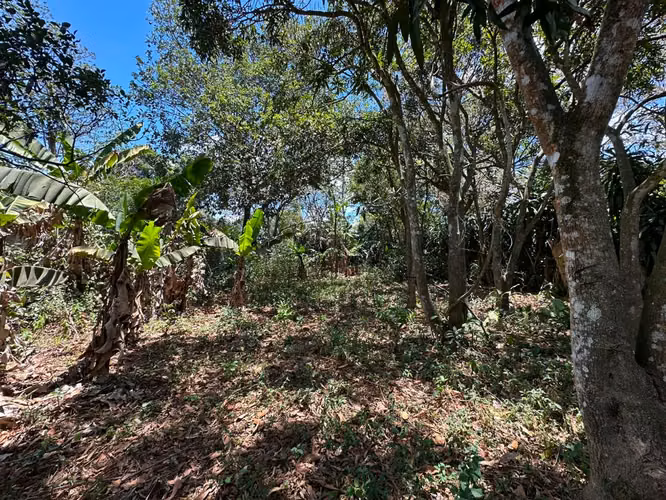 Casa en venta, (perfecta para negocio)  Precio negociable. - Imagen 6