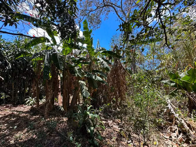 Casa en venta, (perfecta para negocio)  Precio negociable. - Imagen 5
