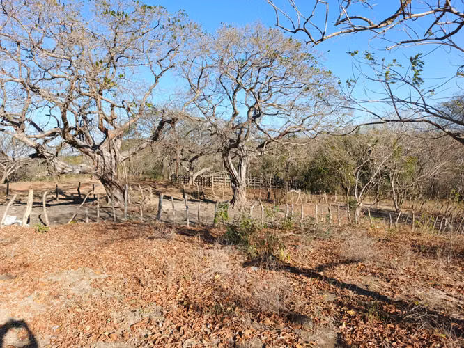 Venta de Finca en Nagarote