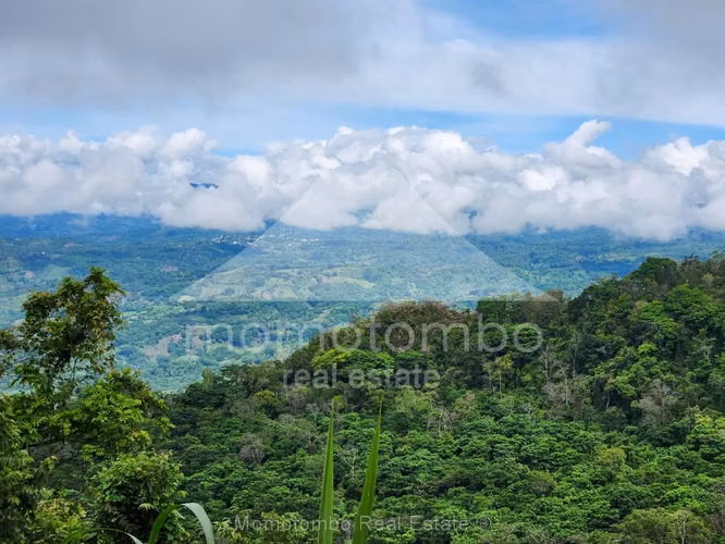 Finca en Venta La Dalia, Tuma La Dalia