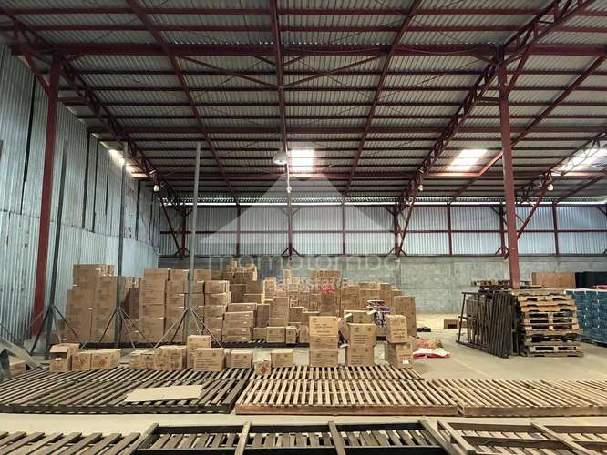 Bodega en Renta Las Jaguitas, Managua - Imagen 5