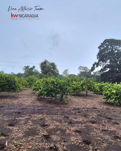 ¡En venta! Propiedad tipo quinta ubicada en Diriamba, Carazo.