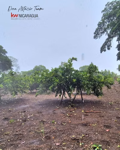 ¡En venta! Propiedad tipo quinta ubicada en Diriamba, Carazo.