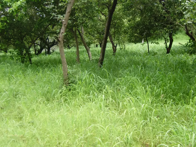 KC-Se vende terreno urbanizable de 20 mz en km 51 carretera San Rafael del Sur