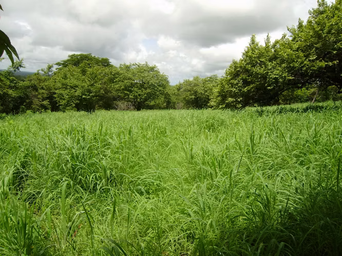 KC-Se vende terreno urbanizable de 20 mz en km 51 carretera San Rafael del Sur