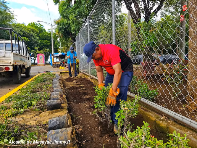 ¡Se busca Jardinero en Managua! (Inicio Inmediato)
