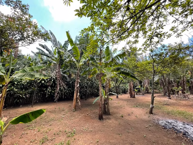 KC -  Quinta en venta en Masatepe, Masaya