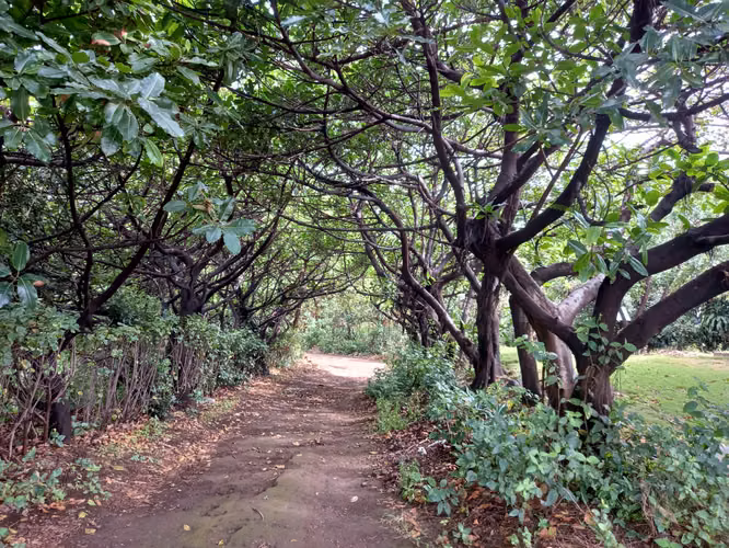 NO-Vendo finca en Carretera Sur km 27
