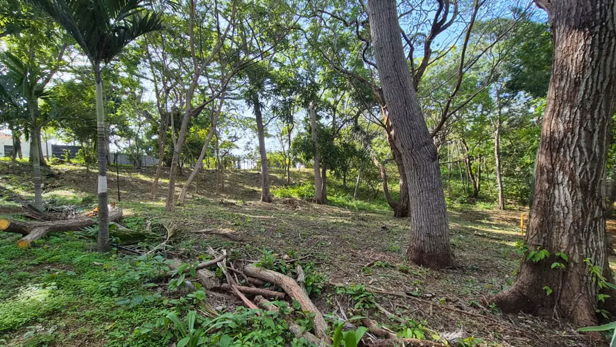 Precioso lote de terreno en San Isidro de la Cruz Verde - Imagen 4