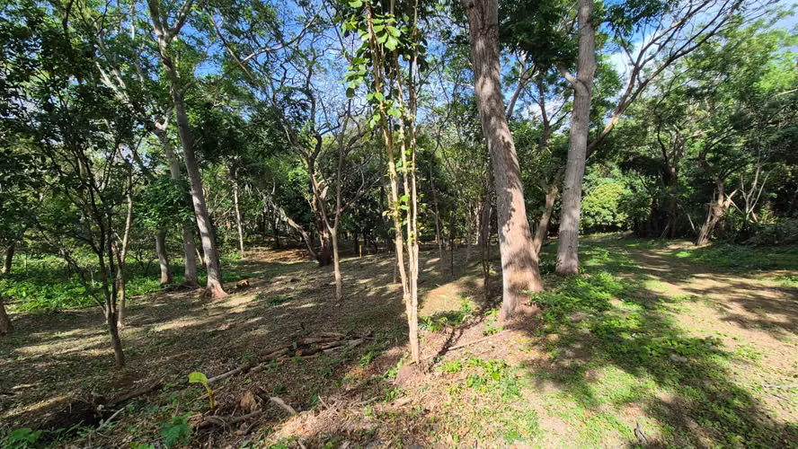 Precioso lote de terreno en San Isidro de la Cruz Verde - Imagen 2